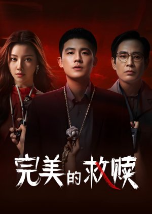 The Perfect Suspect (2025) Episode 6